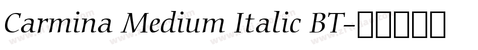 Carmina Medium Italic BT字体转换